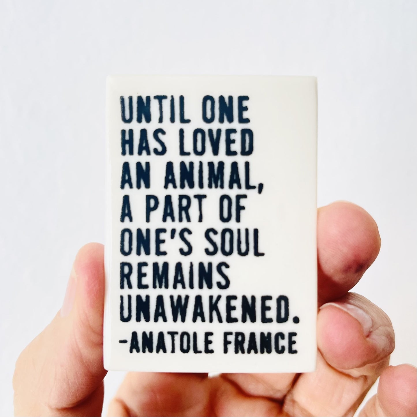 anatole france quote ceramic magnet 1.5" w x 2.13" h
