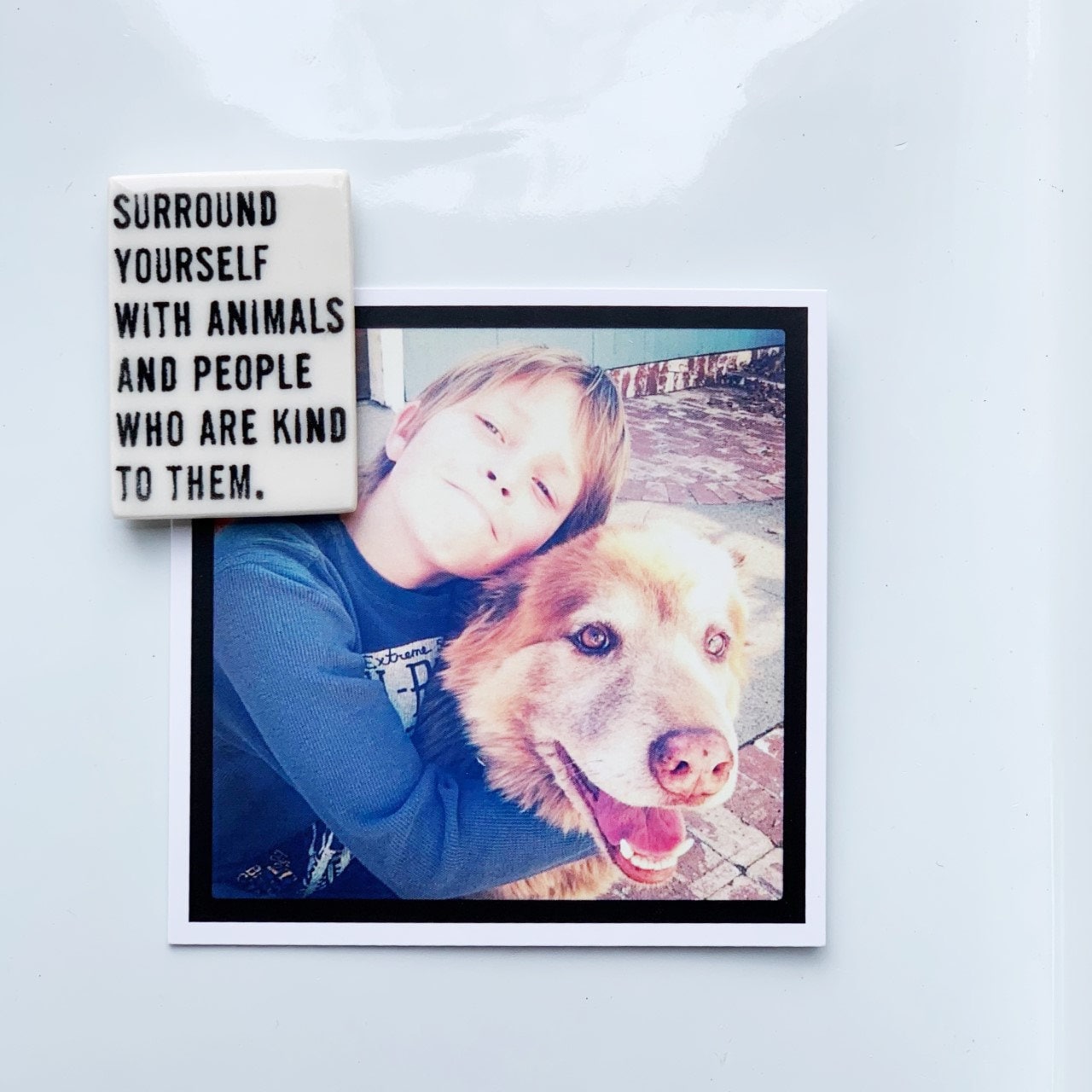 surround yourself with animals... ceramic magnet 1.56" w x 2.13" h