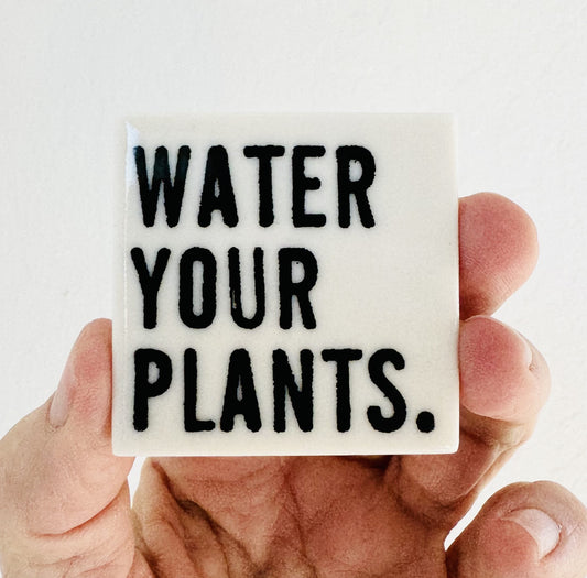 water your plants ceramic magnet 1.69" w x 1.69" h
