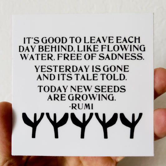 vinyl sticker rumi quote and pattern today new seeds are growing